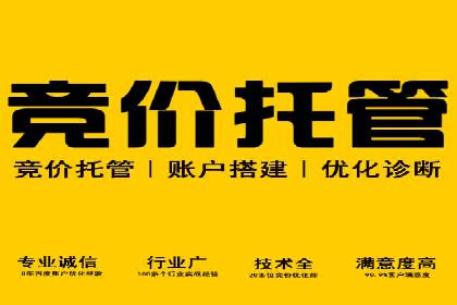 百度推广排名案例报告：某行业巨头如何运用其占领市场高地